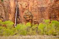 zion national park, waterfall, leaves, spring, 